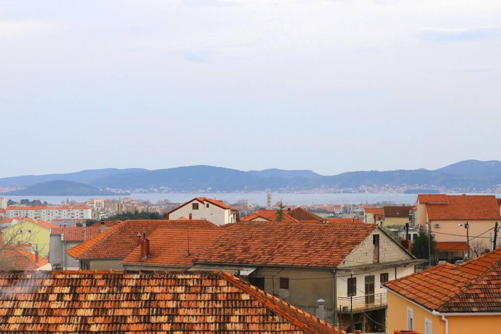 Lara Zadar